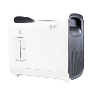 اکسیژن ساز گیسون مدل q20w