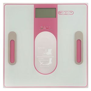 ترازو دیجیتال ماکزی مدل ef971
