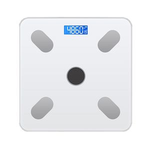 ترازو دیجیتال مدل 6001