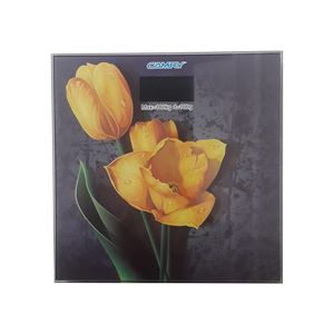 ترازوی دیجیتالی کمری مدل bs80