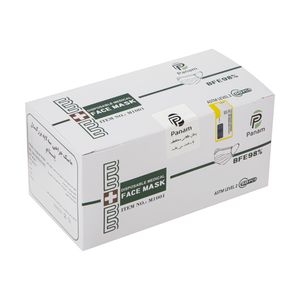ماسک تنفسی پنام مدل m1001 بسته 50 عددی