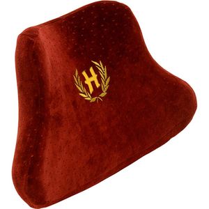 پشت کمری هوشمند مدل home