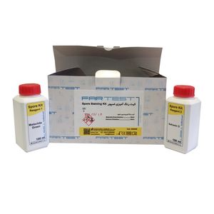 کیت رنگ آمیزی اسپور فرتست مدل far106004