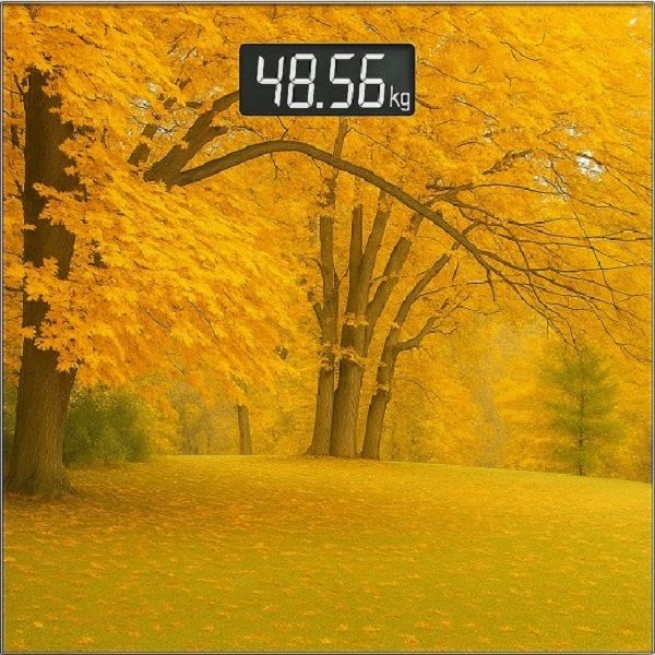 ترازو دیجیتال مدل pts1001