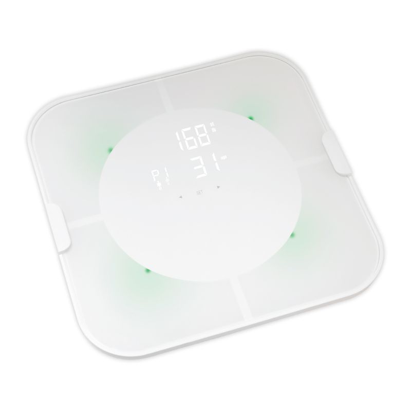 ترازو دیجیتال هایتک مدل hi bs90b