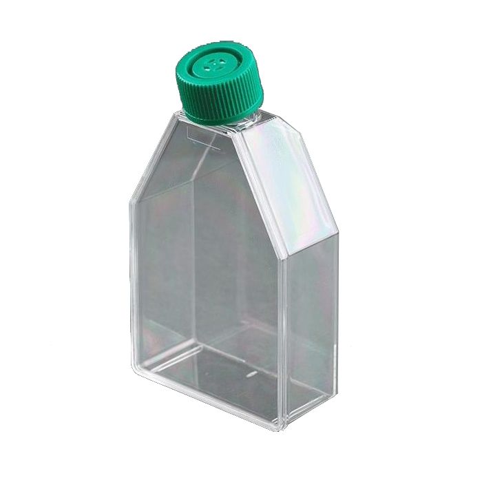 فلاسک کشت سلولی اس پی ال مدل t25 بسته 5 عددی